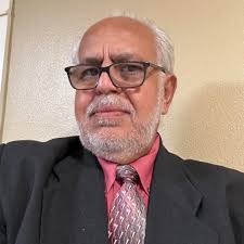 Fig Orchard in Lutz, Florida with Holy Land Varieties