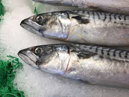 This market serves the needs of fish and seafood to the hotels and restaurants that are located in several areas. Kedonganan Fish Market Kuta Cityseeker