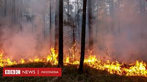 Kini asap kebakaran sudah menyeberang ke malaysia. Kebakaran Kutub Utara Apa Penyebab Api Besar Yang Juga Melanda Hutan Bersalju Bbc News Indonesia
