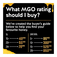 Manuka Doctor Manuka Honey Mgo 70 Holland Barrett Ireland S Leading Health Retailer Manuka Honey Manuka Doctor Manuka Doctor Honey