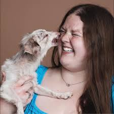 Is euthanasia for dogs considered a sin?