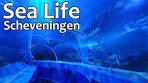 Sea Life Scheveningen / NL (148) - YouTube