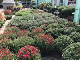 Hewitt garden and design center is located at 2525 hillsboro rd in franklin, tn. Hewitt S Garden Centers Home Facebook