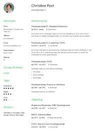 Cv Voorbeeld Zorg Gratis Downloads Iksolliciteer Com