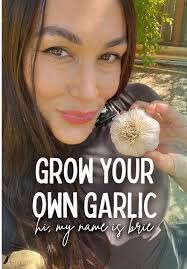 How to Grow Garlic: Step-by-Step Guide