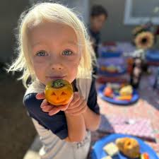 The New Village School