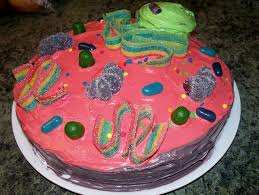 Making an animal cell out of cake. 3d Animal Cell Cake 2 For A Step By Step How To Guide To Flickr