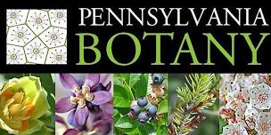 Herbivorous Insect Diversity Workshop
