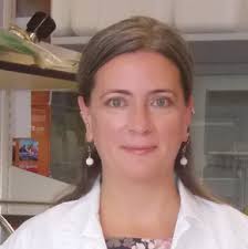 Copy of Email Header Templates