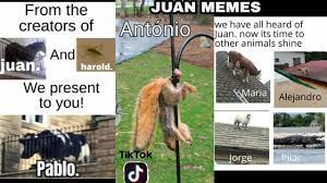 Memes about juan and related topics. We Have All Heard Of Juan Now It S Time To Let Other Animals Shine Juan Memes With Voice Over Youtube