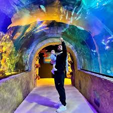 Explore o Oceanic Aquarium: Uma Jornada Inesquecível Pela Vida Marinha em  Balneário Camboriú