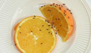 Que Faire Contre Les Mouches A Fruits Passionsante Be