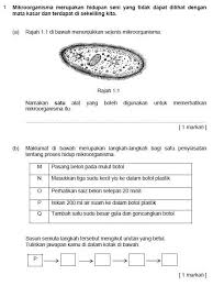 Sains tahun 6 i mikroorganisma i proses hidup dan faktor pertumbuhan mikroorganisma. Sains Kertas 2 Upsr Topik Mikroorganisma Cmn Academy Online Learning Platform
