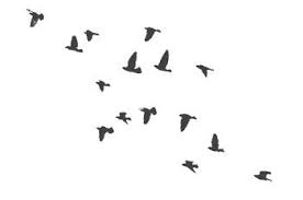 Small Birds In Flight Tattoo Flock Of Birds Flying Bird Tattoo Birds Tattoo Small Bird Tattoos