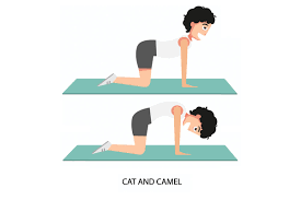 Learn proper form, discover all health benefits and keep your back straight and your torso stable at all times, and breathe out as you lean your torso back. Lower Back Pain The Public Enemy No 2