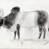 Wildlife art by kenny oliver at coroflot.com. Https Encrypted Tbn0 Gstatic Com Images Q Tbn And9gcs1xdehpgdyrqt Htjdi6mtozqz269byodyqa8pvjneqkifpdyh Usqp Cau