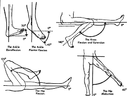 Https Vcportal Ventura Org Hsa Docs Brochures Pdf D12a51707a0274b5e04400306ef23a1e Pdf