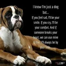 Boxermom Boxerdoglife Ilovemyboxers Boxer Dogs Funny Boxer Dog Quotes Boxer Puppies