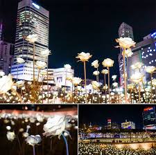 Dongdaemun Design Plaza Ddp Led Rose Garden Rose Flower Rose Lights Home Wedding Decorations