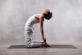 The name, 'ustrasana' comes from the sanskrit words, ustra and asana, where ustra. 461 Yoga Camel Pose Photos Free Royalty Free Stock Photos From Dreamstime