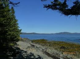 great beach review of birch point beach state park owls