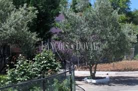 Maybe you would like to learn more about one of these? Madrid Finca Rustica Olivar En Venta Villarejo De Salvanes Lancois Doval