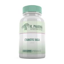 Image result for Cyanotis vaga