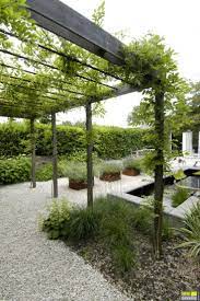 Pin On Landscape Ideas