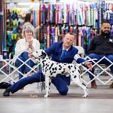 Profile for Mason and Dixon Kennel Club, Inc.