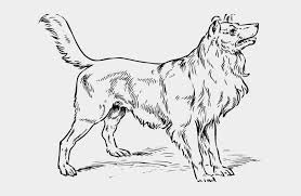 German shepherd coloring pages getcoloringpages com. Big Dog Clipart Realistic Dog Colouring Pages Transparent Cartoon Jing Fm