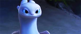 Tumblr Pa5ub20rxh1v2ayeco2 500 Gif 500 214 How Train Your Dragon How To Train Your Dragon Httyd Open & share this gif how to train your dragon, httyd, toothless, with everyone you know. train your dragon