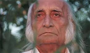 Güneş enerjisiyle yaşayan adam! 'Su ve ışık yeter' dedi, 411 gün tek lokma  yemedi