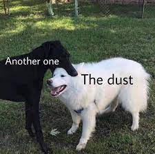 Another One Bites The Dust Cool Doggo Memes Facebook