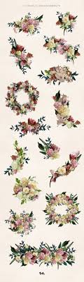 Free for personal and commercial use. Luxury Real Flowers Clipart Set Clip Art Real Flowers Graphic Illustration