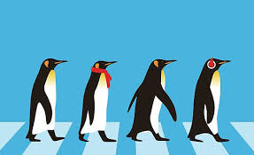 King Penguin Walking Penguin Seed Series Vector Art Illustration Penguin Illustration Penguins Penguin Art