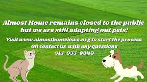 Our cat and dog rescue services in sioux falls pair local pets with loving homes. Almost Home Iowa Home Facebook