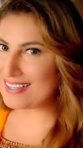 پاکستانی فلموں کی شوٹنگ اور ٹک ٹاک ویڈیوز