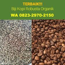 Agen Wa 0823 2970 2150 Harga Kopi Robusta Organik Bubuk Biji Kopi Fermentasi Sendok Kayu