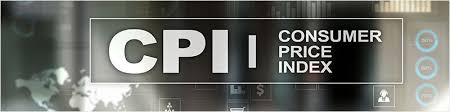 Consumer price index cpi in south africa increased to 120.50 points in june from 120.20 points in may of 2021. What Is Consumer Price Index Cpi How To Use It
