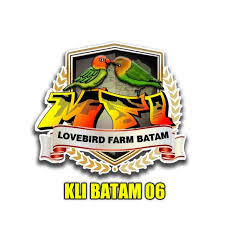 Maybe you would like to learn more about one of these? Mfi Aviary Batam Lovebird Farm Posts Facebook