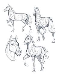 Kyle Petchock Art Sketchbook Horse Sketch Horse Drawings Animal Sketches