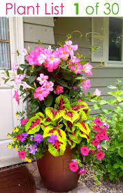 Colorful Mixed Pots Flower Gardening With 30 Plant Lists Container Gardening Flowers Container Garden Design Container Flowers