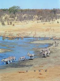 Hwange National Park Zimbabwe Travel Photos Hey Brian In 2021 Hwange National Park National Parks Travel Photos