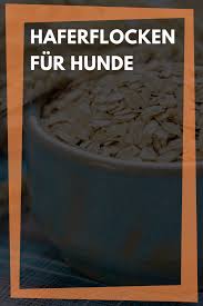 Dogco Hochwertige Hundenahrung Fur Unsere Hunde Hunde Futter Hundenahrung Hunde Ernahrung