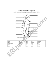 Her book gives credence to her teaching by its amazing breadth and depth of understanding across the field of body movement. 32 Human Body Parts Label Labels Database 2020