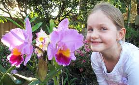 Byron Bay Orchid Club show celebrates 60 years