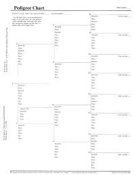 15 Generation Pedigree Chart Free Onourway Co