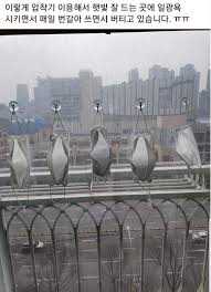 May 29, 2021 · 로또복권 운영사 동행복권은 제965회 로또복권 추첨에서 '2, 13, 25, 28, 29, 36'이 1등 당첨번호로 뽑혔다고 29일 밝혔다. ì˜í˜'ì‹ ë¬¸