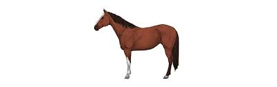 If you want a super easy way to drawing it, just draw a u shape, the horse drawing will still look more than cute. Sketchbook Original How To Draw Horses Monika Zagrobelna