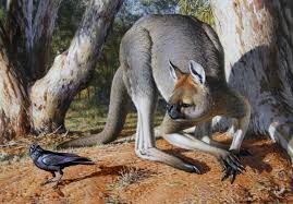 Procoptodon Also Known As The Giant Short Faced Kangaroo It Lived In Australia And Went Extinct With Othe Ancient Animals Prehistoric Animals Extinct Animals